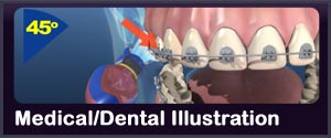 medical dental custom illustration