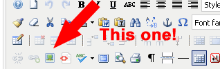 insert_photo_button